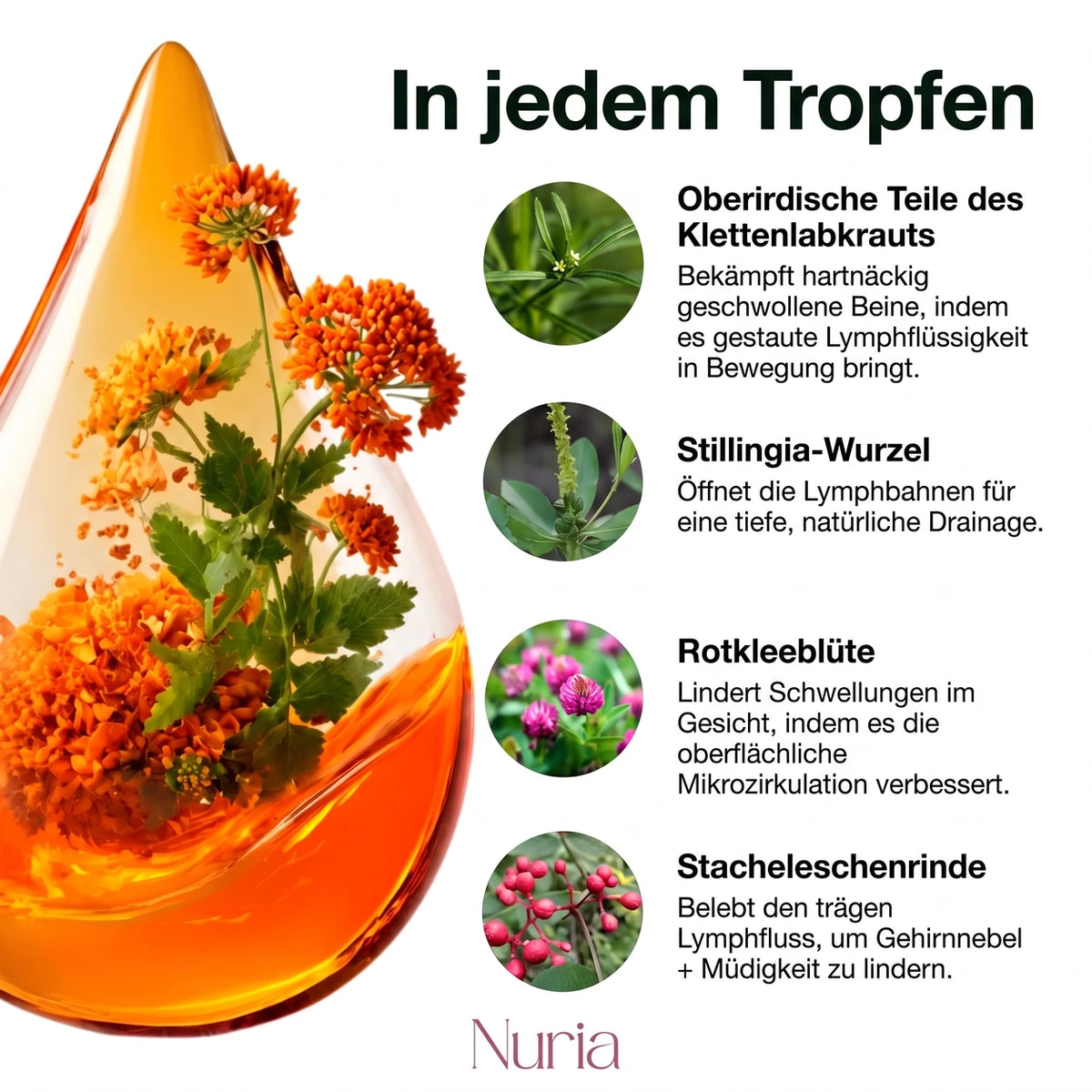 Nuria Lymphdrainage – Natürliche Tropfen